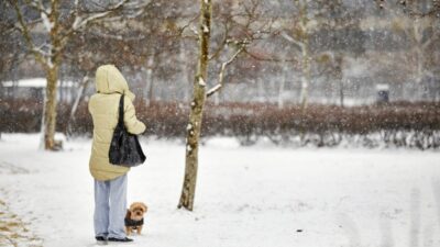 Kar ne zaman yagacak son derece erken guclu bir ruzgar geliyor 21333