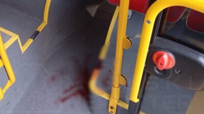 Kopek belediye otobusundeki kadin yolcuyu isirdi sahibi para cezasina carptirildi 23151