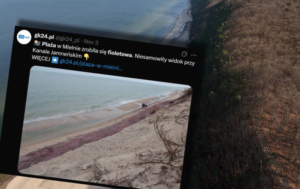 mielno daki mor plaj turistleri sasirtti biri zehir doktu sandim 21158