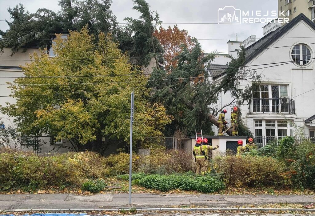 Mokotow da ruzgarin devirdigi agac i tfaiye mudahale etti 20584