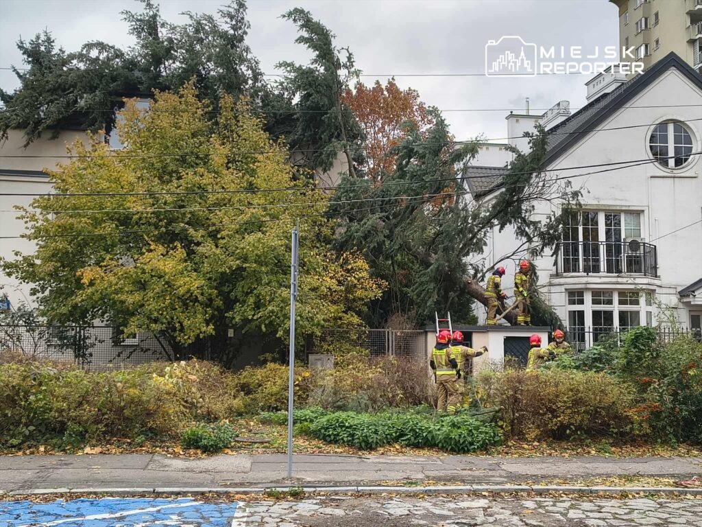 mokotow da ruzgarin devirdigi agac i tfaiye mudahale etti 20584