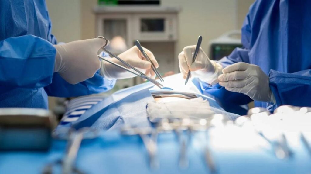 oak8e4axnvb7pmxckcuirgb21nd95y26