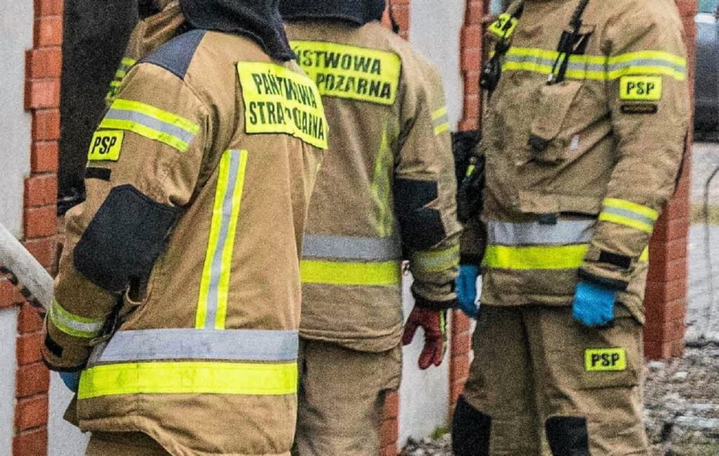 polonya nin en zengin kadinlarindan biri ve 2 yasindaki torunu bir yanginda oldu sebep bir nemlendirici miydi 25619