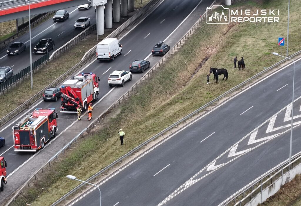 S8 de sira disi bir olay varsova istikametinde bir at romorku devrildi 26019