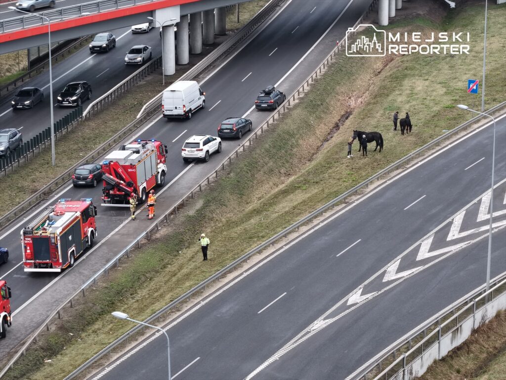 s8 de sira disi bir olay varsova istikametinde bir at romorku devrildi 26019