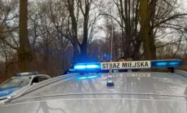 Sehir muhafizlari opusza ska caddesi nde tatli hirsizi yakaladi 24028