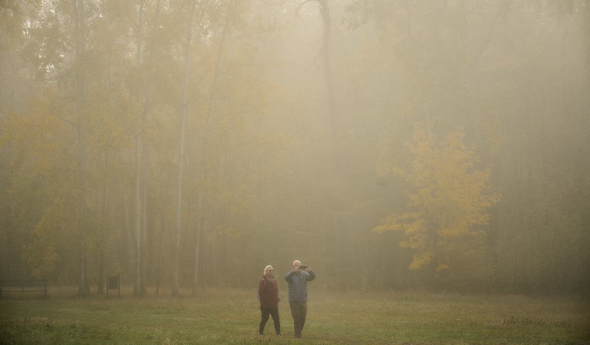Sis ve donun hakim oldugu bir hafta sonu imgw uyariyor 21964