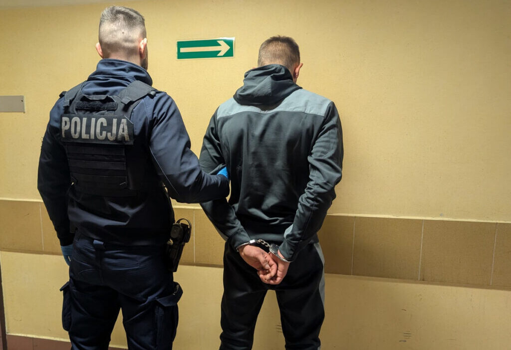 Soygun failleri gozaltinda gozaltina alinanlar ukrayna vatandasi 21585