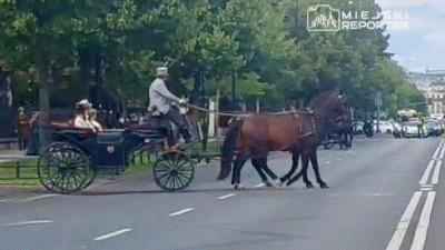 Varsova nin merkezinde bir bebek ujazdowskie caddesi boyunca araba kullanmadan hafta sonu 23208
