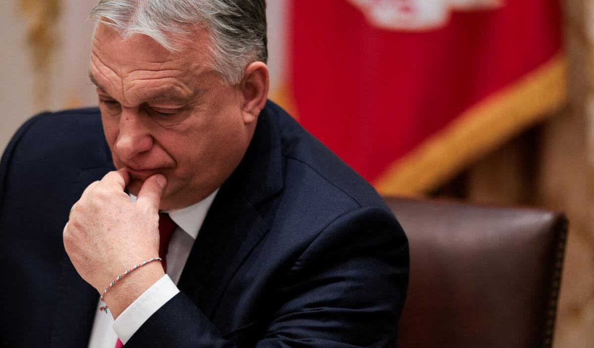 Viktor orban moskova'ya uçuyor. Hayır, ukrayna hakkında değil 1 Viktor orban moskova ya ucuyor hayir ukrayna hakkinda degil 26157