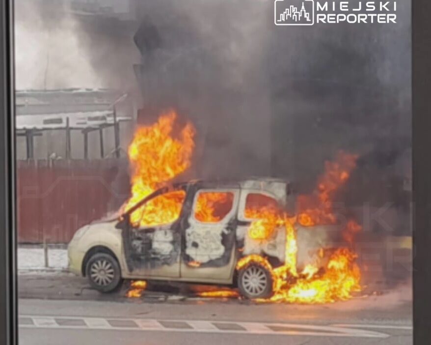 Wesola'da binek araç yangını. Araba yanarak kül oldu. 1 Wesola da binek arac yangini araba yanarak kul oldu 25198