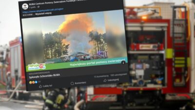 Yangin obl deki hayvan barinagini yok etti acil bir koleksiyon baslatildi yikilmis durumdayiz 23567