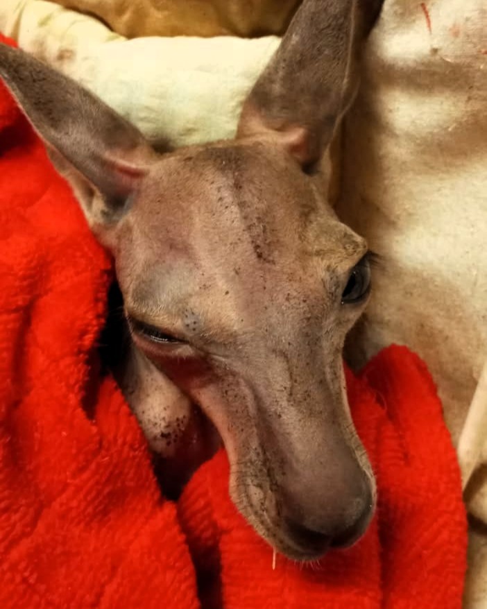 594286324 1265232138983203 6607784345354937363 n