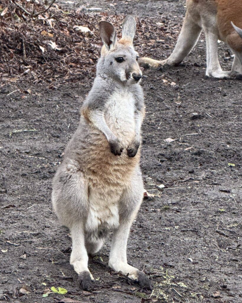 594816621 1265065675666516 7874550258979402569 n