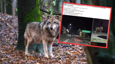 Owyyowewydy4gzlkagxti3tdbt4svwn1lft1dwpofgehth1gahemozwlkicqwsgllakuidvzpzt2gd8 agf ed0qpccpfjz4pbqtmifyeze4qxc0dubizgplenpxrypmdef yiraltm7snyxd04uzz9kbso