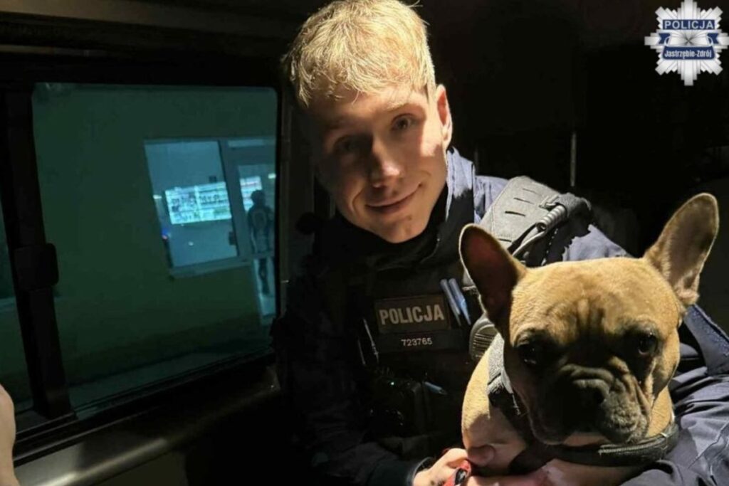 agaca bagli bir kopege yardim ettiler polis arabasina sorunsuz bir sekilde yerlesti 32478