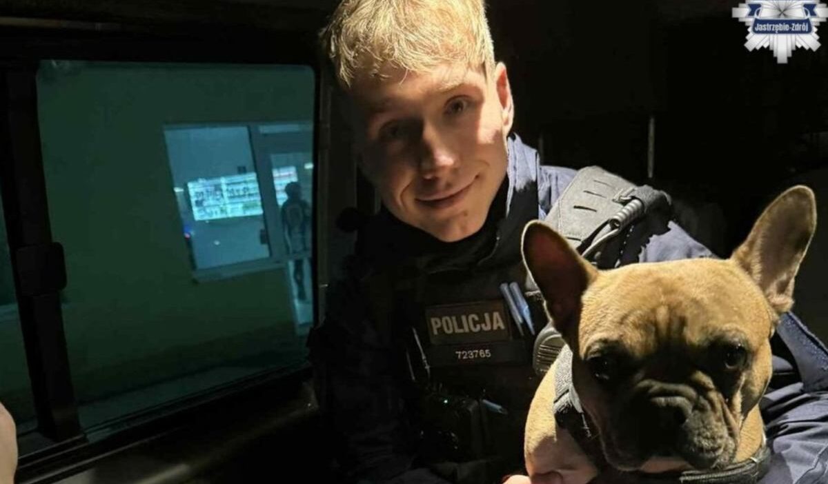 Agaca bagli bir kopege yardim ettiler polis arabasina sorunsuz bir sekilde yerlesti 32478