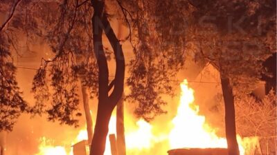 Arazi yangini yangin hizla yayildi 28199