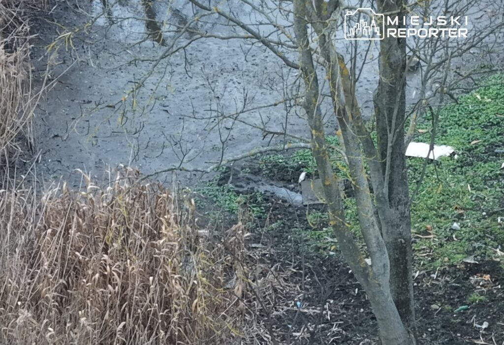 Arka bahçedeki gölette ürkütücü bir keşif. Bir kadın cesedi suyun üzerinde yüzüyordu. 1 Arka bahcedeki golette urkutucu bir kesif bir kadin cesedi suyun uzerinde yuzuyordu 28752