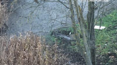 Arka bahcedeki golette urkutucu bir kesif bir kadin cesedi suyun uzerinde yuzuyordu 28752