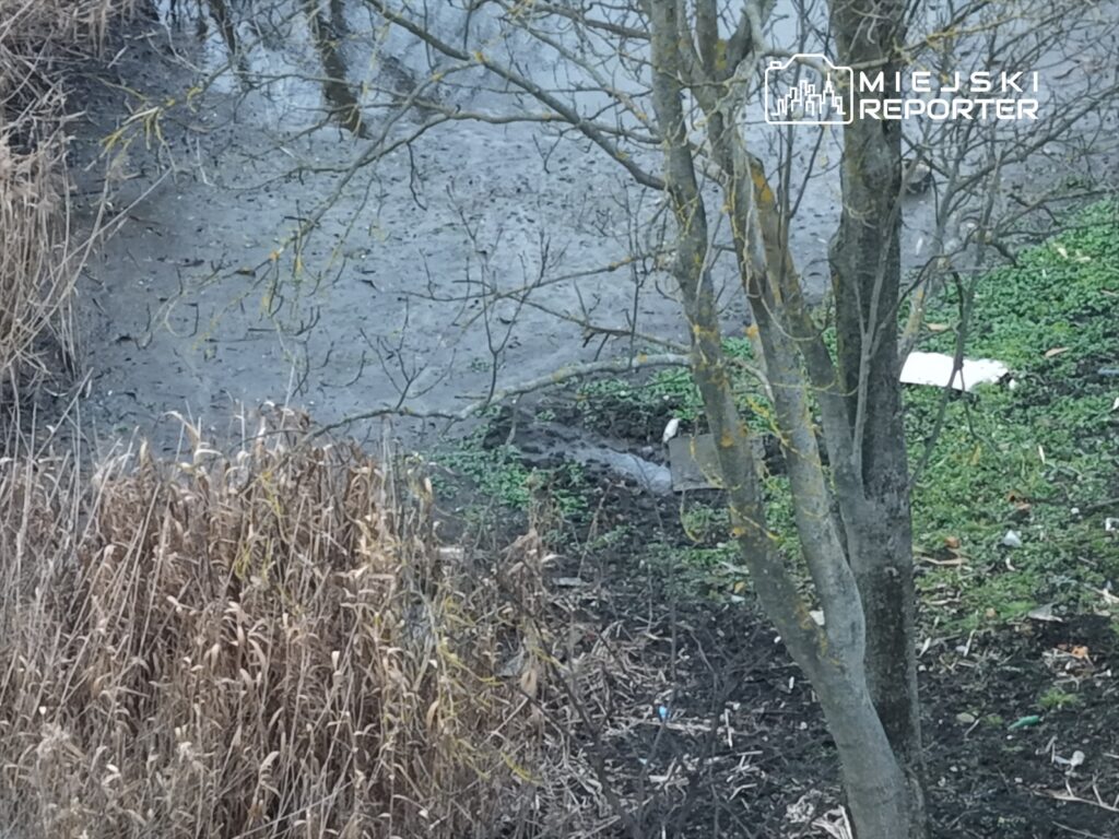 arka bahcedeki golette urkutucu bir kesif bir kadin cesedi suyun uzerinde yuzuyordu 28752