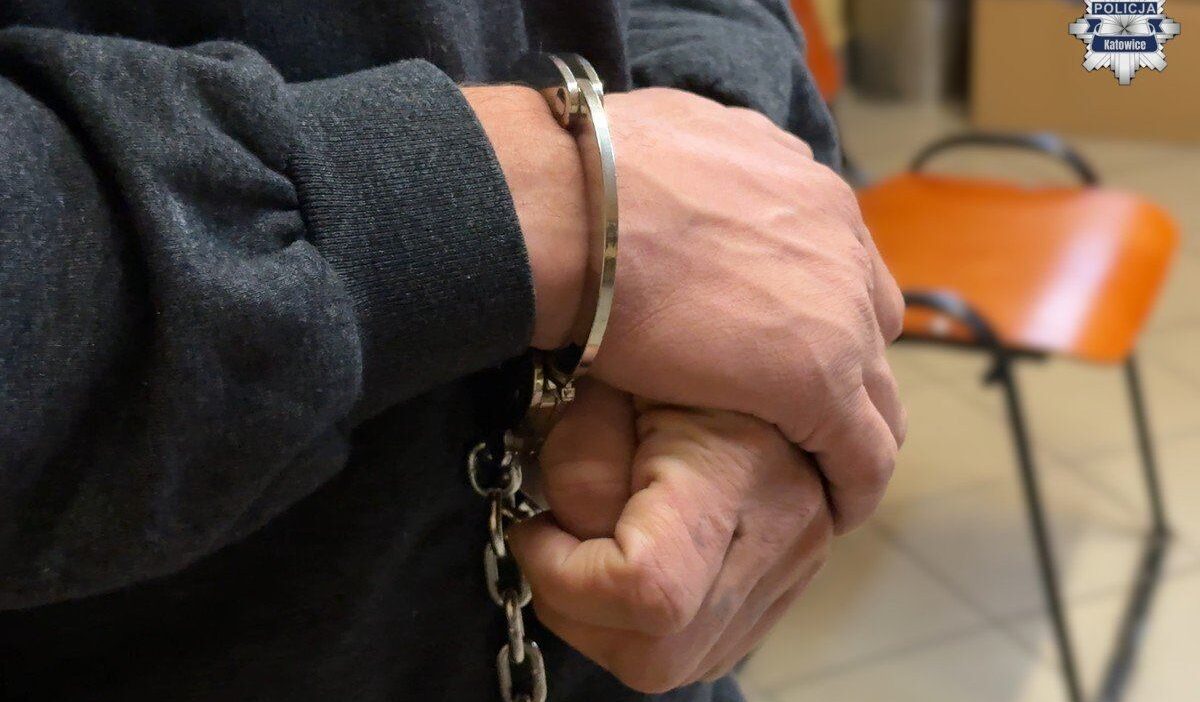 Asansorde ve sokakta yasli kadinlara saldirdi mi katowice den 37 yasindaki kisi gozaltinda 31784