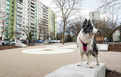 Bielany bogusławskiego caddesi'ndeki yeni meydan açıldı 1 Bielany bogus awskiego caddesi ndeki yeni meydan acildi 30748