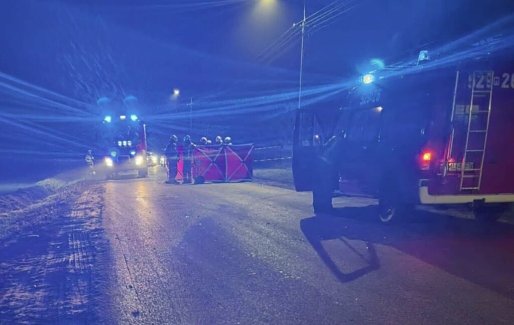 Bir arabanin carptigi yaya hayatini kaybetti i ki kardes yol boyunca yururken iclerinden biri yolun karsisina gecmeye karar verdi 27938