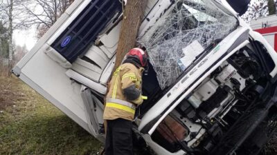 Bir kamyon surucusu hendege girdi ve bir agaca carpti 27121