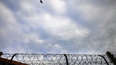 Cba is basinda cezaevi gorevlileri gozaltinda steroid kacakciligi yapti 28438