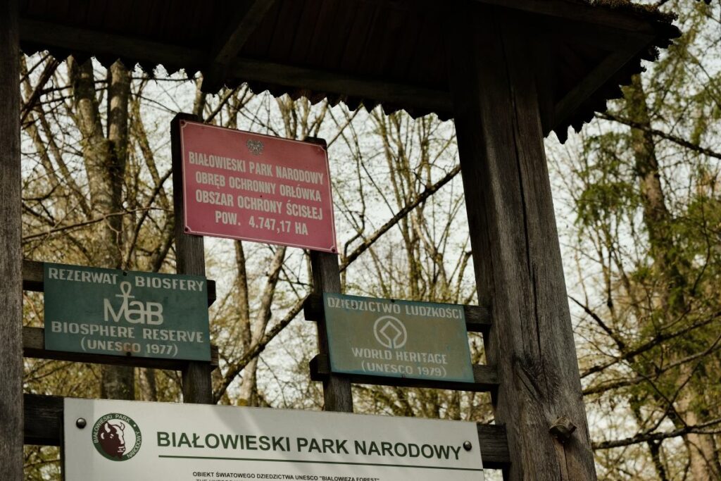 en degerli ormani korumak icin bir plan var bialowieza ormani na yonelik en buyuk tehdidi ortadan kaldiriyor 29509