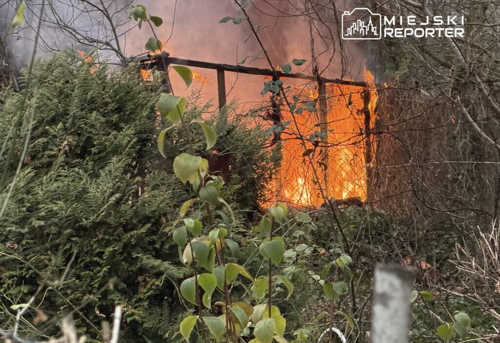 İki ilçede iki çardak yangını. İtfaiye ekipleri müdahale etti 1 I ki ilcede iki cardak yangini i tfaiye ekipleri mudahale etti 27985