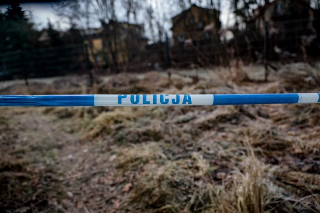 jelenia g ra dan 11 yasindaki bir cocugun okul cocuklari tarafindan oldurulmesi dehset verici ifadeler danusia yi itti 30445