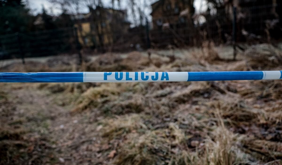 Jelenia g�ra'dan 11 yaşındaki bir çocuğun okul çocukları tarafından öldürülmesi? Dehşet verici ifadeler. "danusia'yı itti". 1 Jelenia g ra dan 11 yasindaki bir cocugun okul cocuklari tarafindan oldurulmesi dehset verici ifadeler danusia yi itti 30445