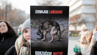 Kopekler bir zamanlar zincirlerinden kurtuldu mu baskan in imzasi icin bir sans goruyorum 30687