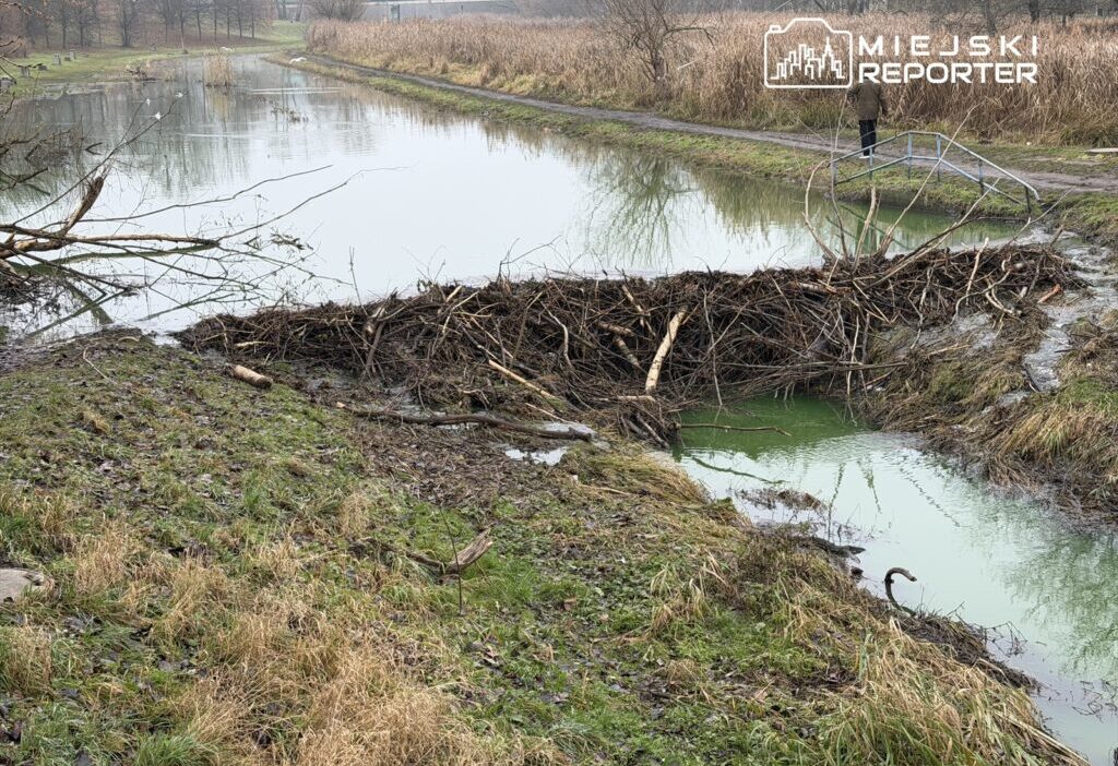 Kunduzlar s u ewiec vadisi ndeki yetkililere karsi s u ewiec cayi uzerindeki barajlar icin savas 28206