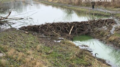 Kunduzlar s u ewiec vadisi ndeki yetkililere karsi s u ewiec cayi uzerindeki barajlar icin savas 28206