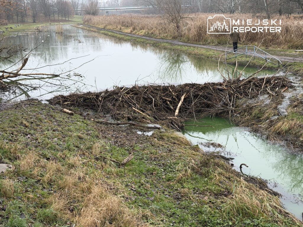 kunduzlar s u ewiec vadisi ndeki yetkililere karsi s u ewiec cayi uzerindeki barajlar icin savas 28206