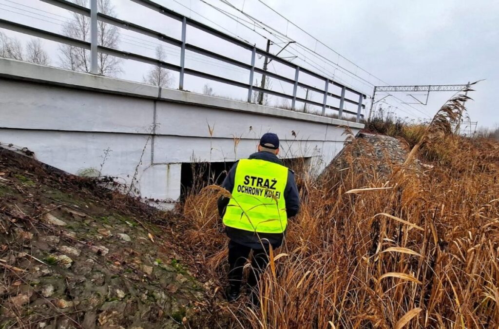 lubelskie demiryolu muhafizlari bir foto kapandan sinyal aldi olay raylarin yaninda gerceklesiyordu 29936