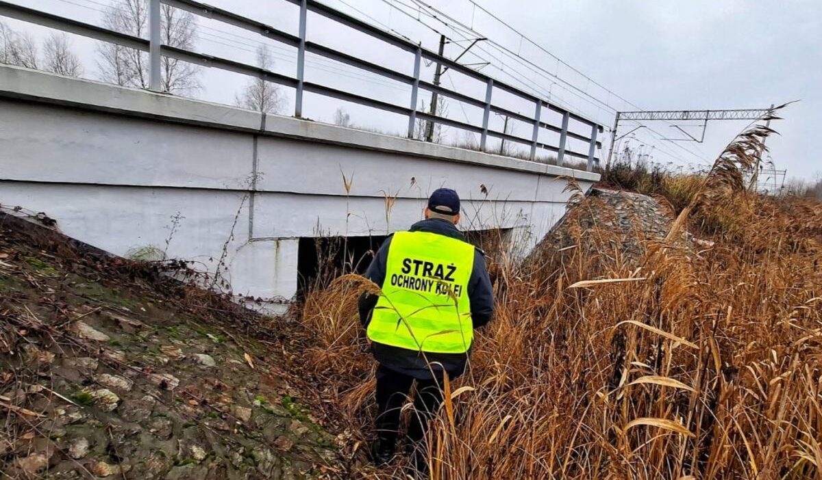 Lubelskie: demiryolu muhafızları bir foto kapandan sinyal aldı. Olay rayların yanında gerçekleşiyordu. 1 Lubelskie demiryolu muhafizlari bir foto kapandan sinyal aldi olay raylarin yaninda gerceklesiyordu 29936