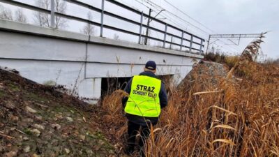 Lubelskie: demiryolu muhafızları bir foto kapandan sinyal aldı. Olay rayların yanında gerçekleşiyordu. 4 Lubelskie demiryolu muhafizlari bir foto kapandan sinyal aldi olay raylarin yaninda gerceklesiyordu 29936
