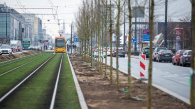 Marsza kowska caddesi nde agac dikimine baslandi tramvay yolu boyunca toplam 115 agac dikilecek 29262