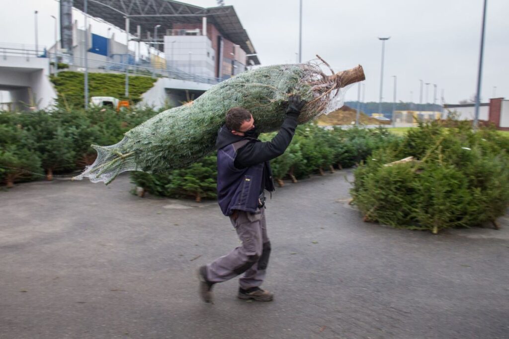noel arifesi ve noel gunu hava durumu tahminler umut veriyor 31197