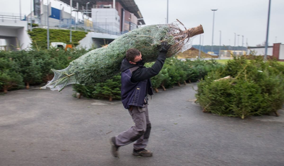 Noel arifesi ve noel gunu hava durumu tahminler umut veriyor 31197