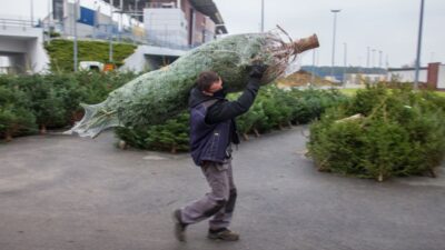 Noel arifesi ve noel gunu hava durumu tahminler umut veriyor 31197