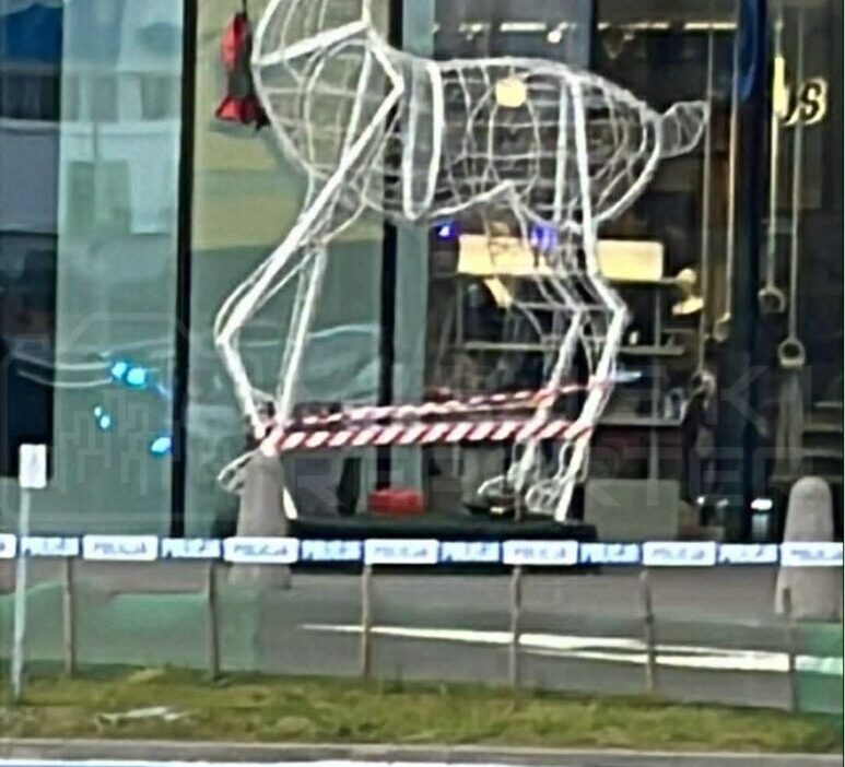 Noel ren geyikleri alisveris merkezinin disinda polis seridiyle cevrildi geride birakilan hediyenin nedeni 31764