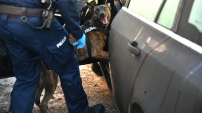 Polis podlasie'de bir uyuşturucu ticarethanesini çökertti. Arka planda büyük para 3 Polis podlasie de bir uyusturucu ticarethanesini cokertti arka planda buyuk para 27085