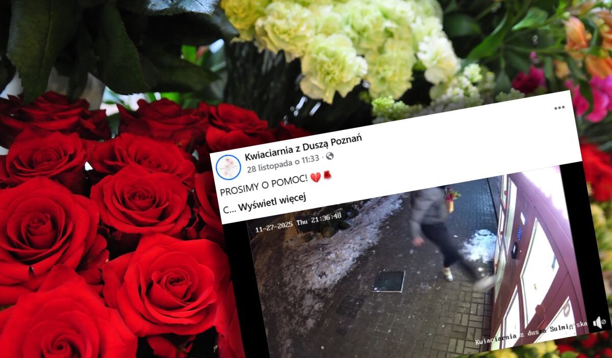 Poznan'daki bir çiçekçiden şok edici görüntüler. Polis iki kişiyi gözaltına aldı. Bunların kim olduğuna inanmak zor 1 Poznan daki bir cicekciden sok edici goruntuler polis iki kisiyi gozaltina aldi bunlarin kim olduguna inanmak zor 26802