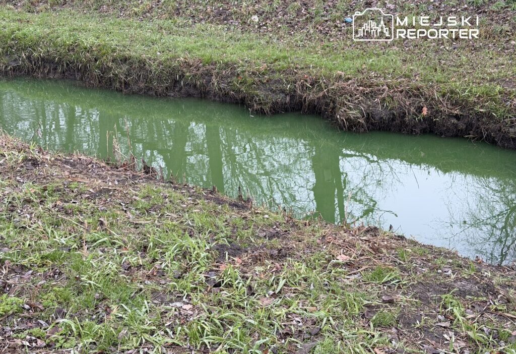 S u ewiec cayi ndaki yesil su bolge sakinlerini endiselendirdi 26878