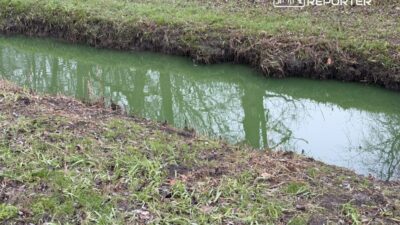 Służewiec çayı'ndaki yeşil su bölge sakinlerini endişelendirdi 3 S u ewiec cayi ndaki yesil su bolge sakinlerini endiselendirdi 26878